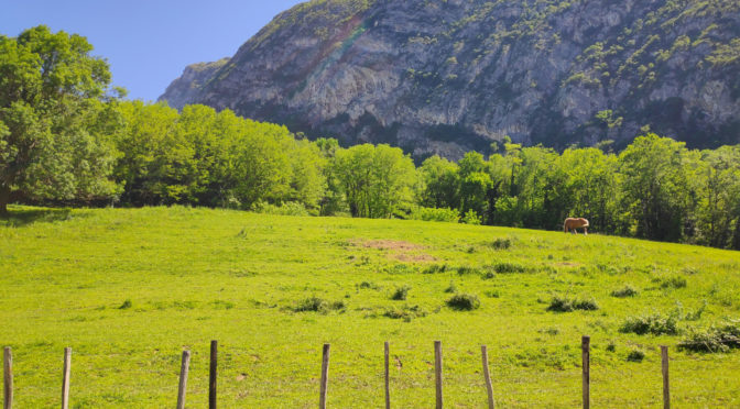Paysage du Fontanil-Cornillon