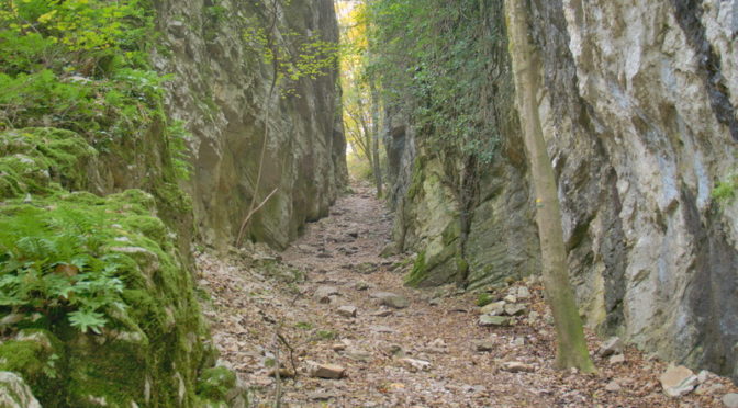 Le parc de la Poya et le Coup de Sabre, à Fontaine