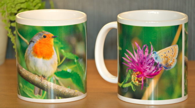 Des tasses pour sensibiliser à la nature