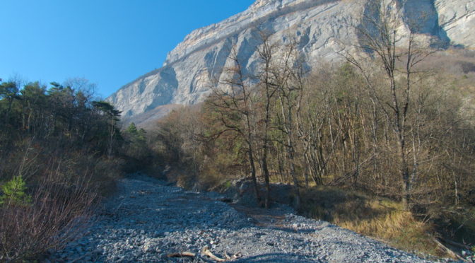 La forêt du domaine de Rochasson à Meylan