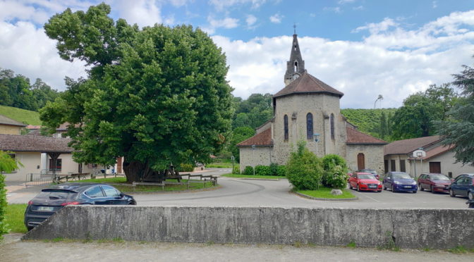 Visite du village de Réaumont et de son tilleul âgé de 600 ans !