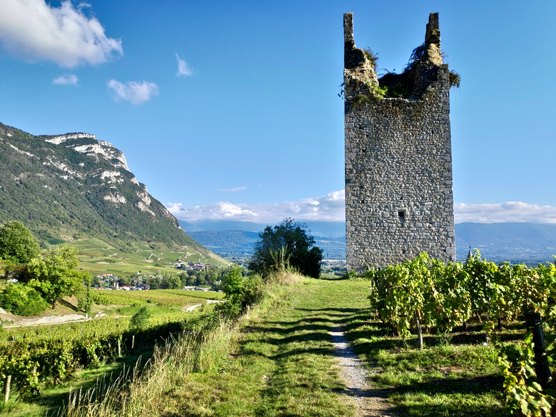 La tour médiévale de Chignin