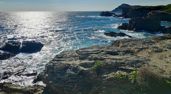 L'île du Gaou, retrouvez les paysages de la Bretagne dans le Var !