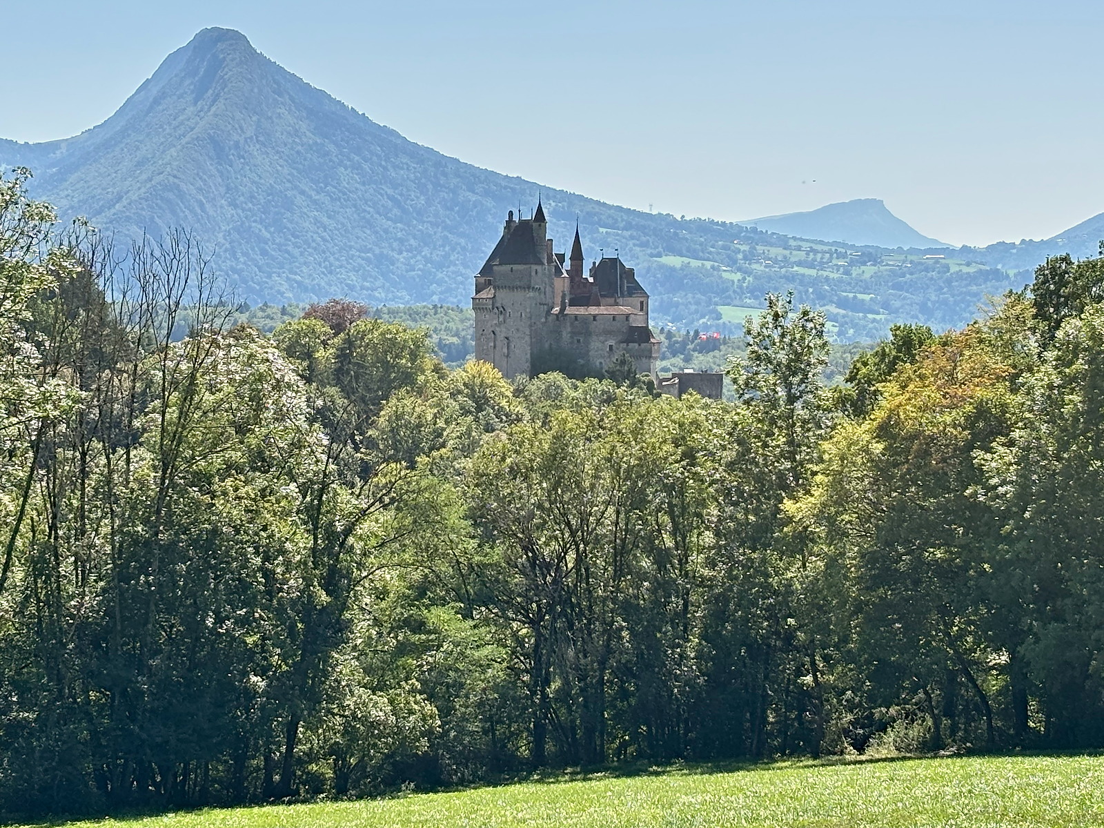 Le château de Menthon-Saint-Bernard au milieu de la Forêt